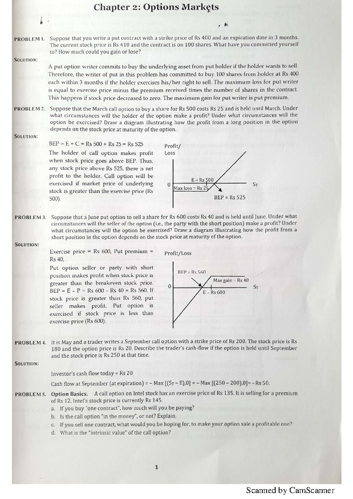 Derivative Solutions for Ashmita: A Comprehensive Guide - Document Preview