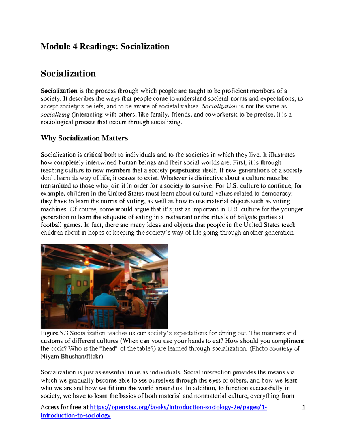 Understanding Socialization In Society Key Concepts Theories SOC 