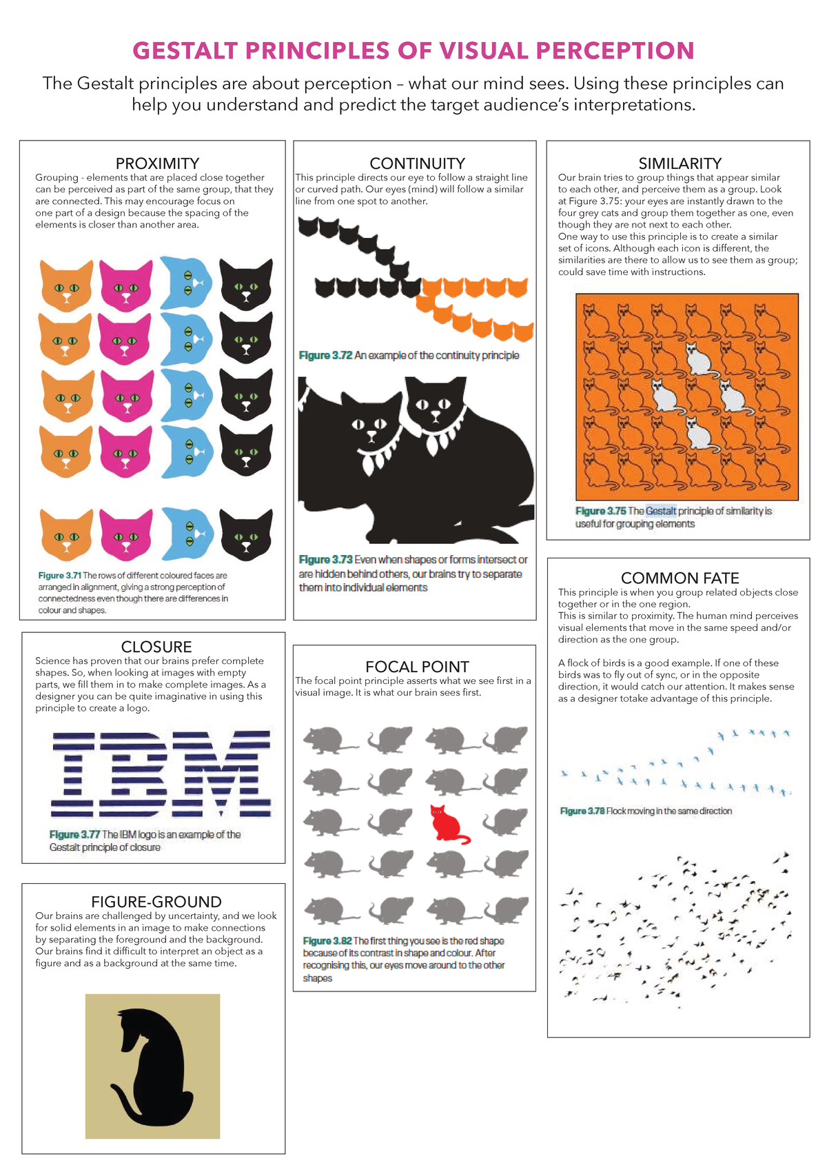 GESTALT PRINCIPLES OF VISUAL PERCEPTION: A Study Guide - Studocu