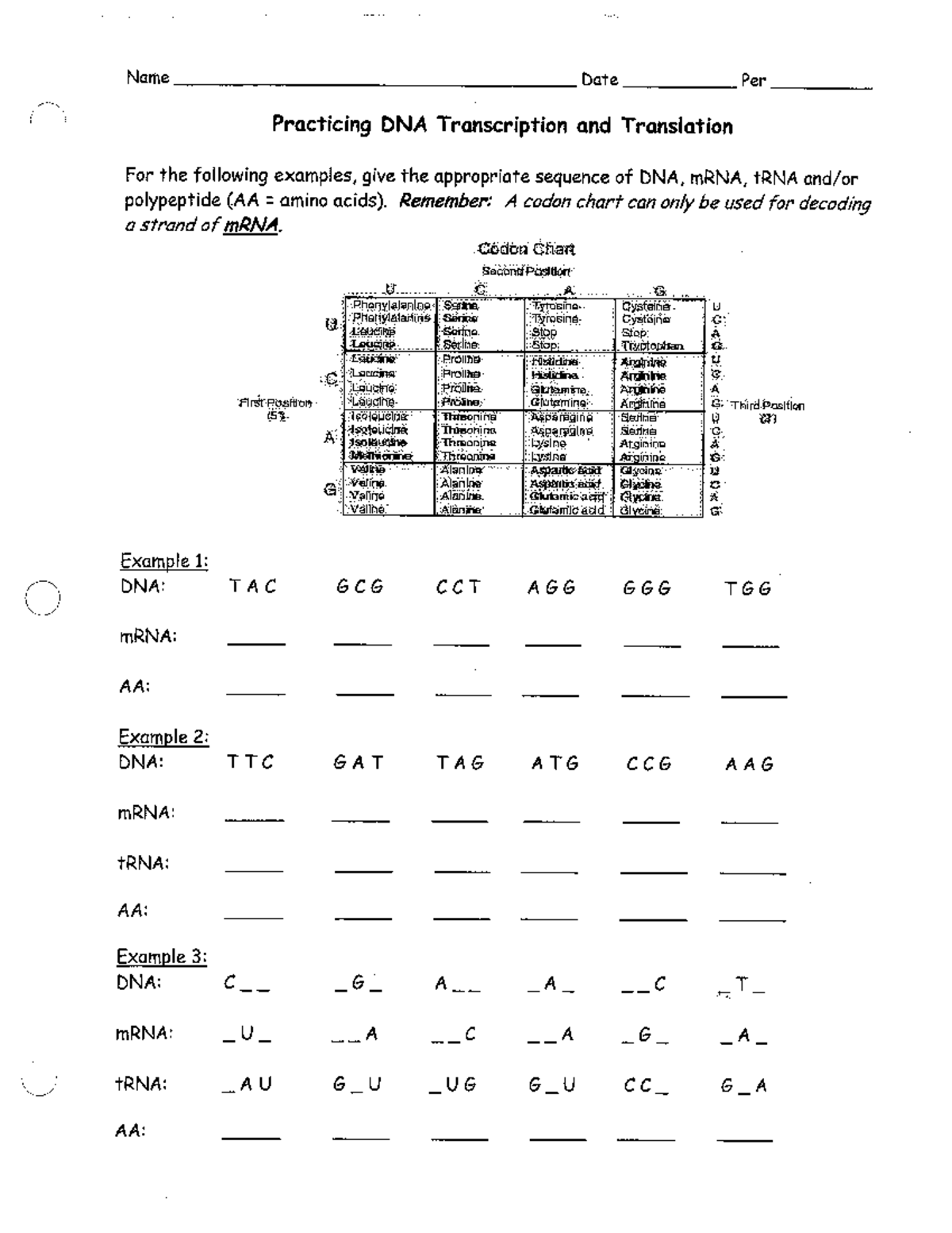 Ultimate Practicing Dna Transcription And Translation Ebook Guide: Summary, Editions, and Main Breakdown