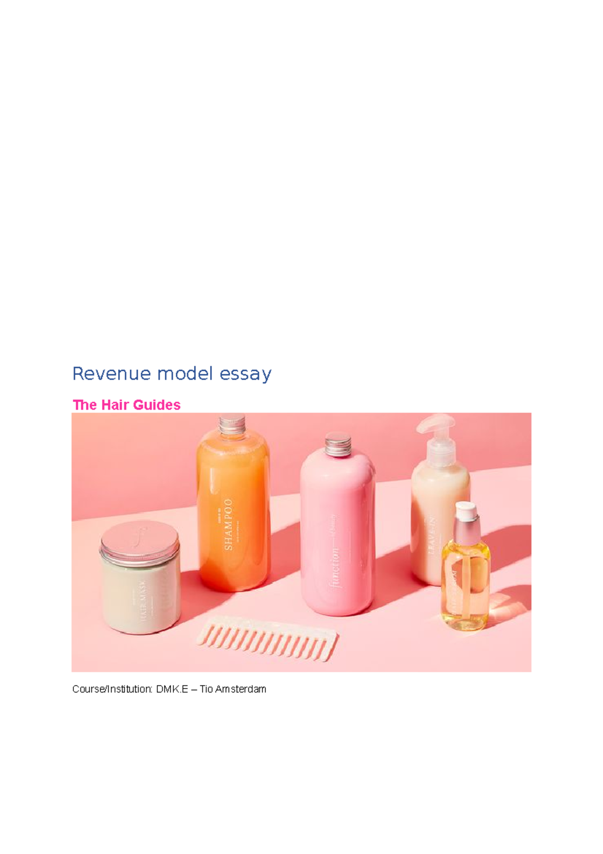 DMK.E Revenue Model Essay: Analyzing The Hair Guides Strategy - Studeersnel