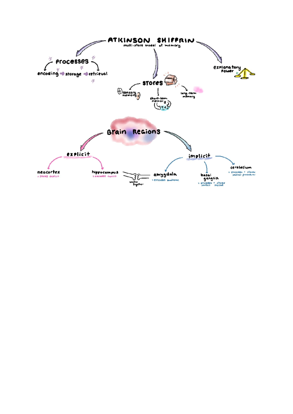 Memory U3 AOS 2 Psychology Mindmaps - ATKINSON SHIFFRIN model of memory ...