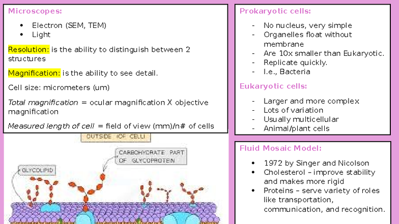 Biology 101: Module 1 Summary on Cell Structure & Transport - Studocu