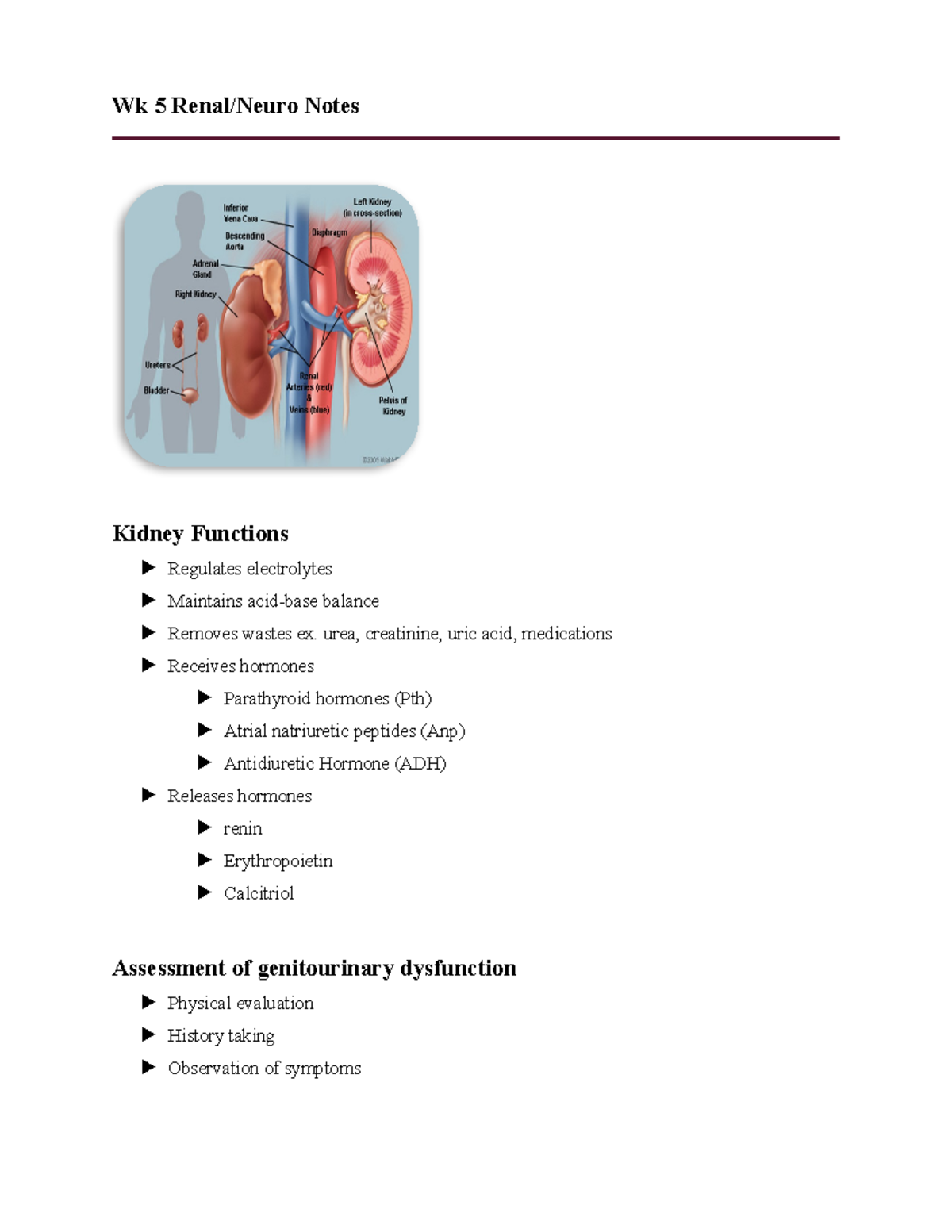Week 5 Renal Notes - Wk 5 Renal/Neuro Notes Kidney Functions Regulates ...