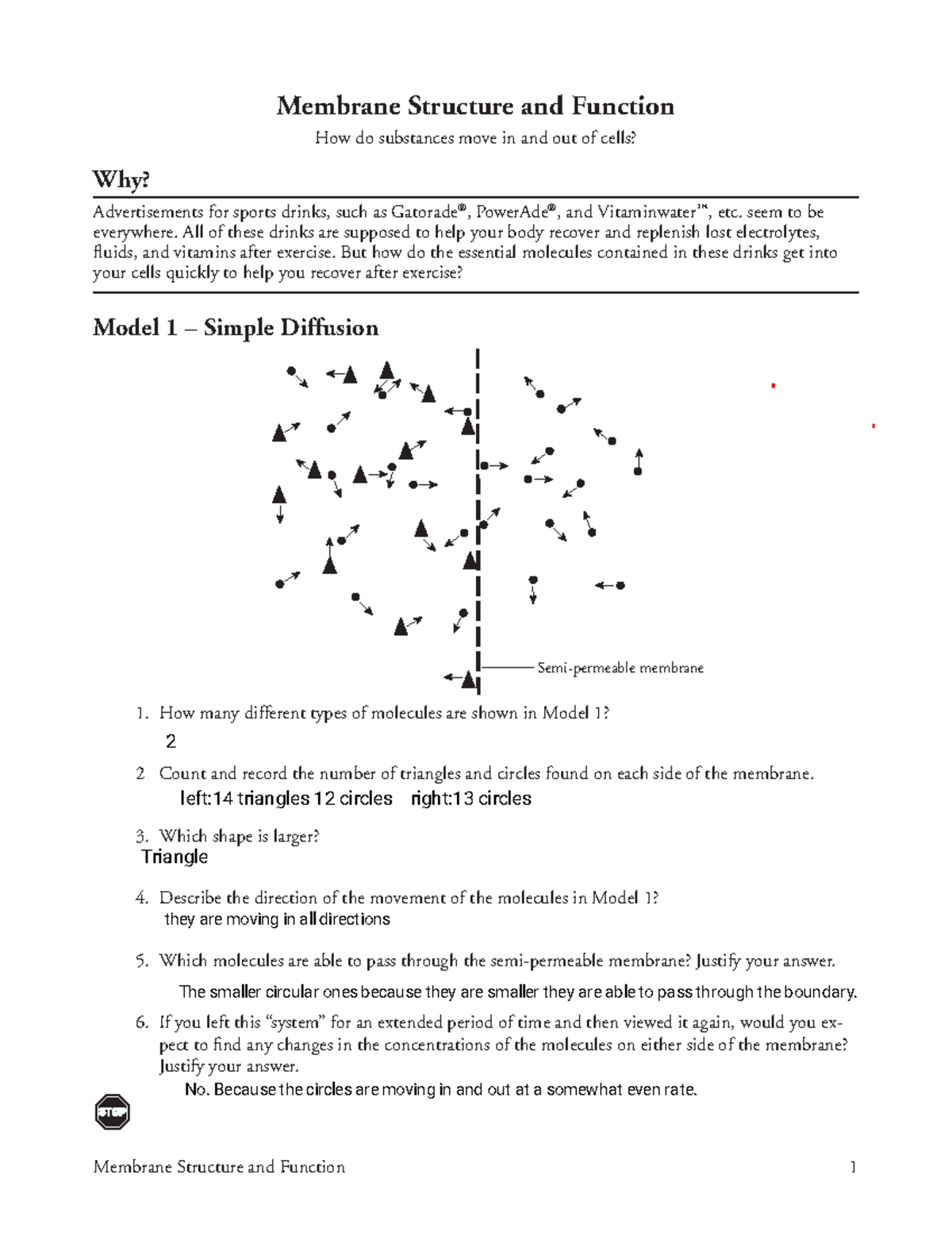 Kami Export - Colton Ludin - Cell Membrane Pogil - Membrane Structure