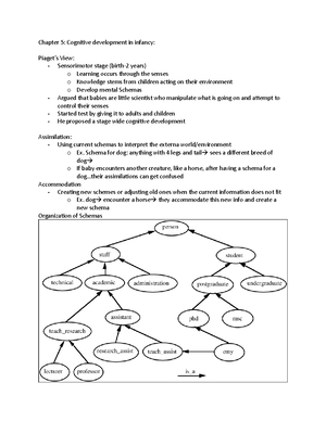 Chapter 4 - Lecture notes - Physical Development in Infancy 1 Body ...