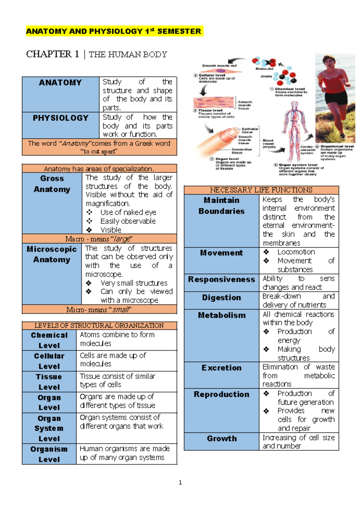 Anaphy Chapter 1 - Human Body Structure and Function Notes - Document Preview