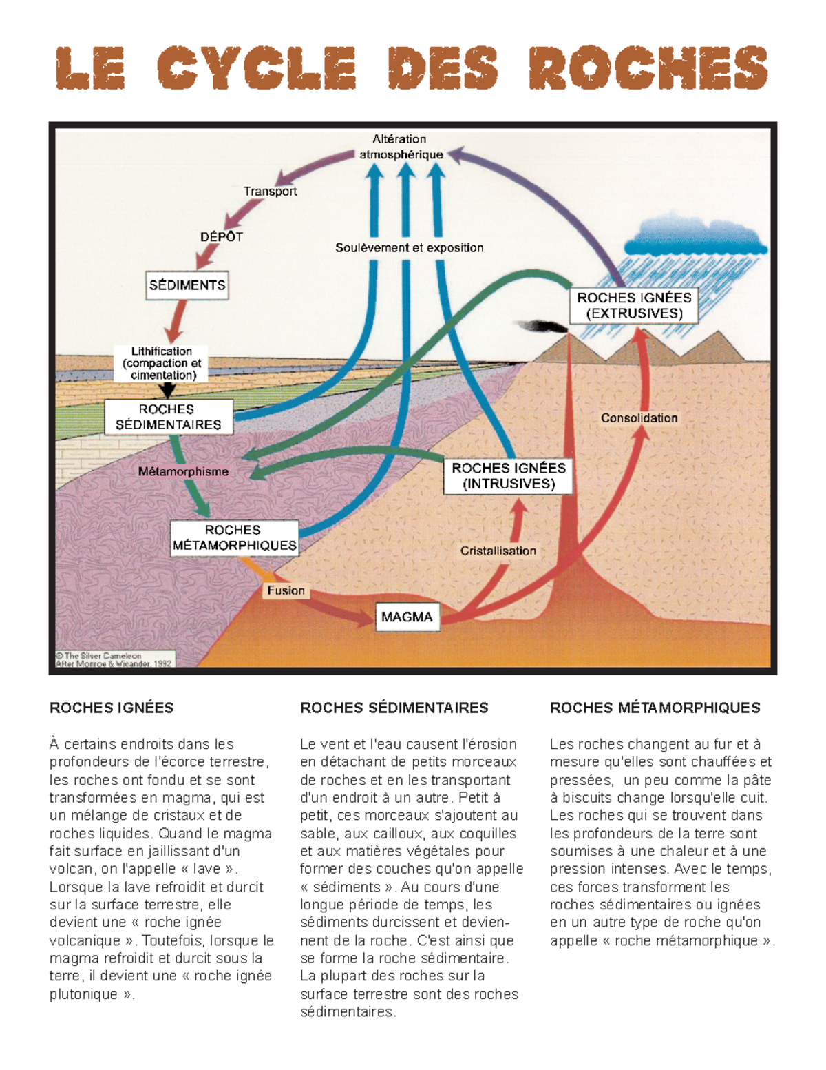Roches Sédimentaires et Leur Formation - Cours 07 - Studocu, image size:1200x1553