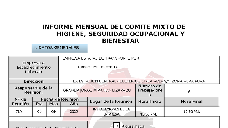 ACTA DE REUNIÓN DEL COMITÉ MIXTO DE HIGIENE Y SEGURIDAD - 2025 - Document Preview