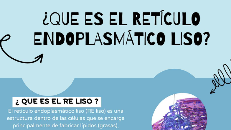 Retículo Endoplasmático Liso: Funciones y Estructura - BI 121 - Studocu