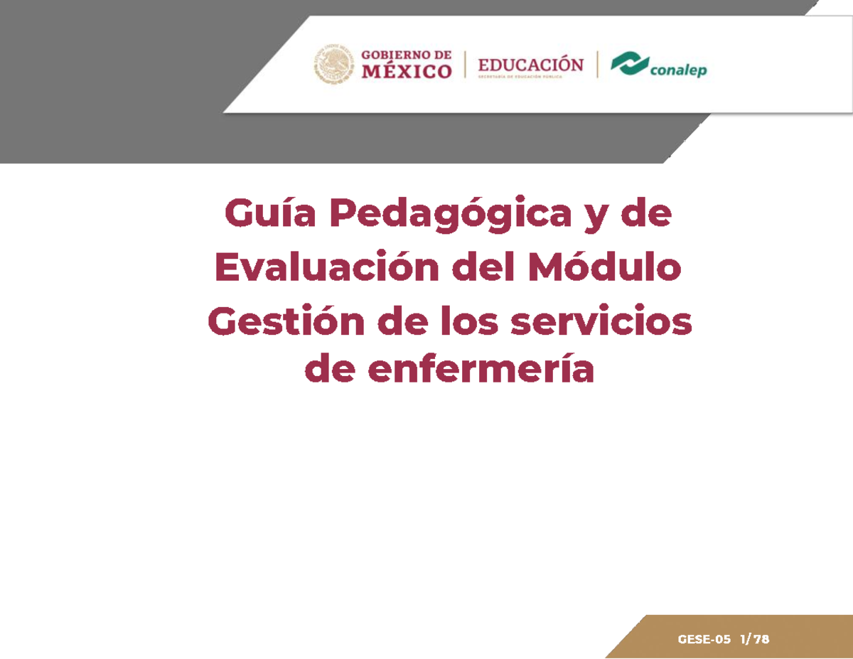Guia Pedagogica De Gestion De Los Servicios De Enfermeria