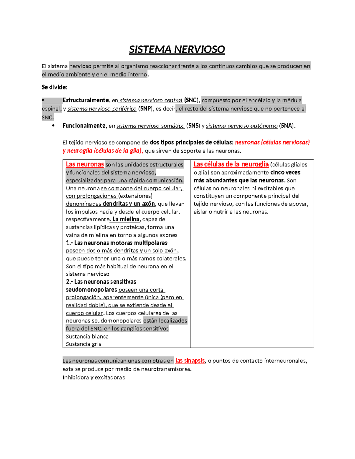 Sistema Nervioso: Resumen de Anatomía y Funciones (Moore) - Document Preview