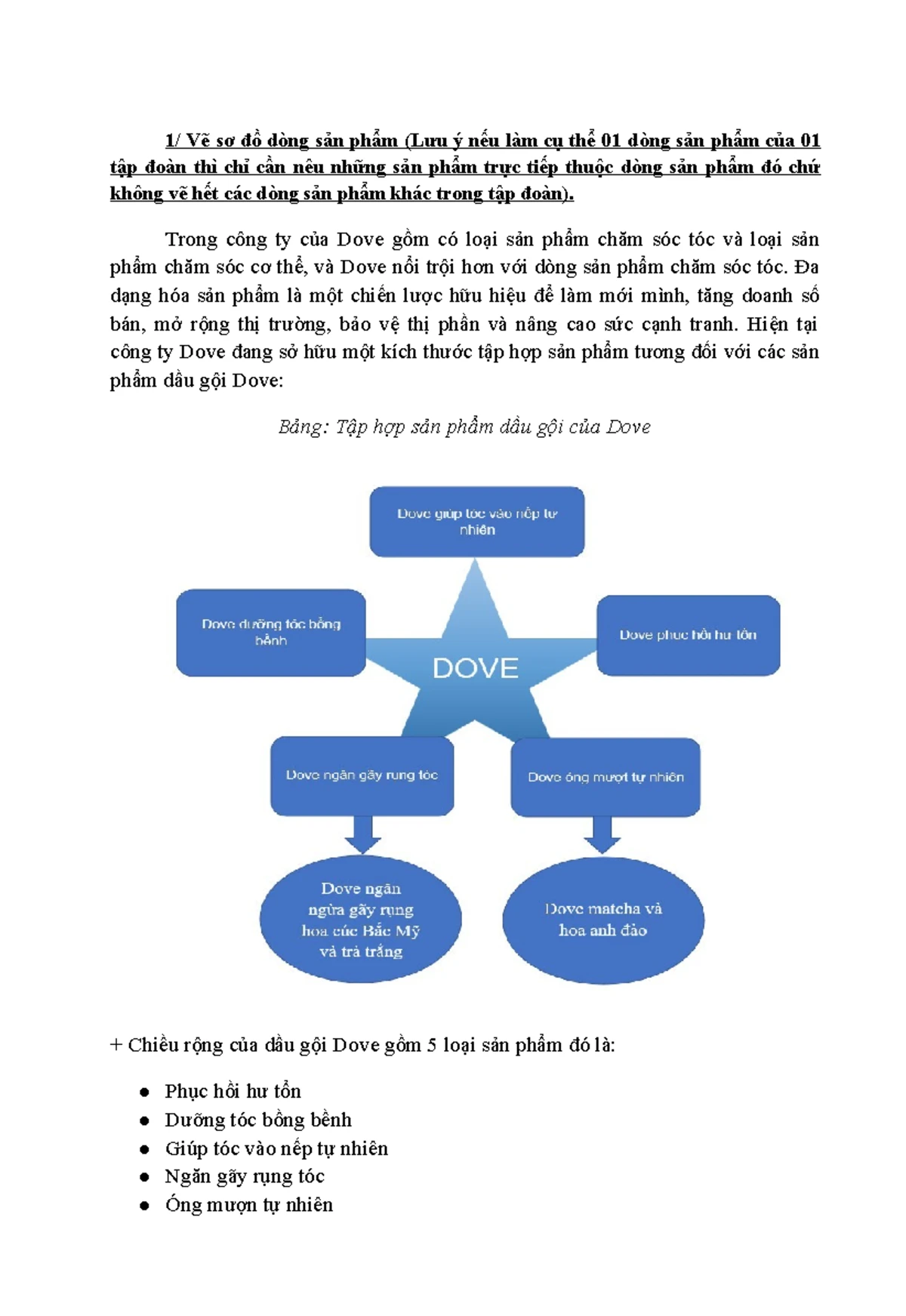 高中议论文作文1000字- 理论与实践的结合探讨- Studocu