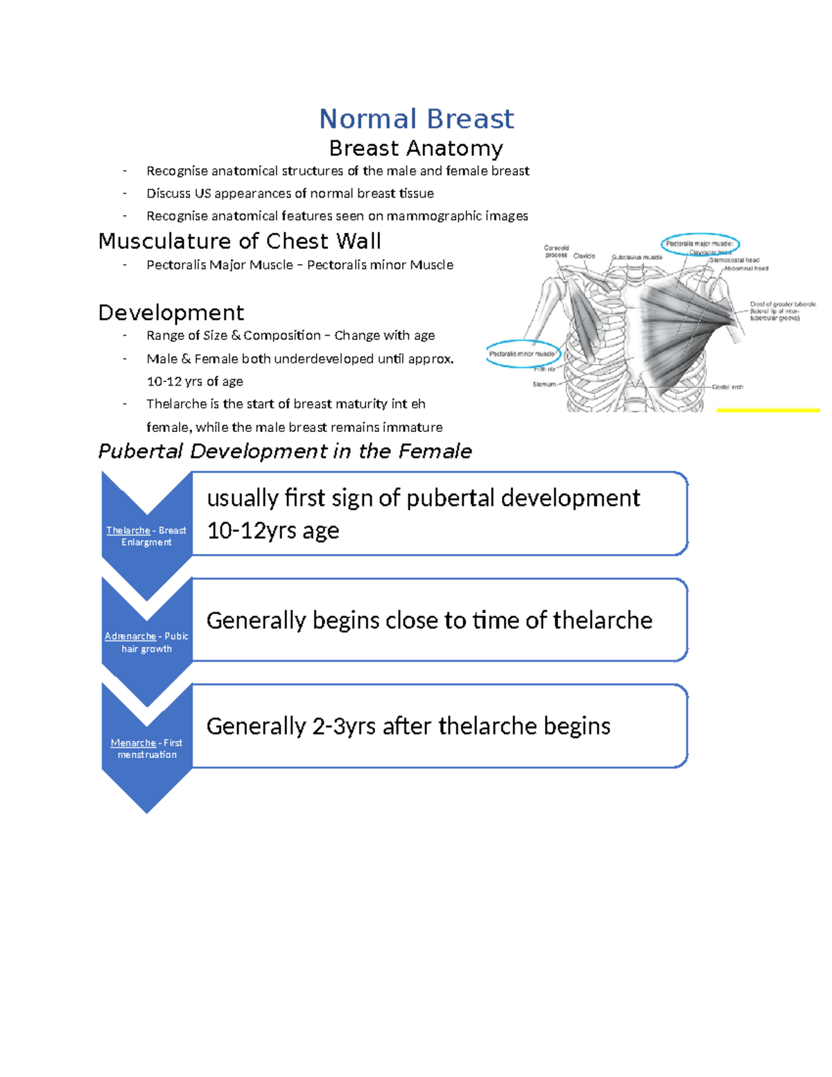 Anatomy & US of Normal Breast: Key Features & Sonographic Findings ...