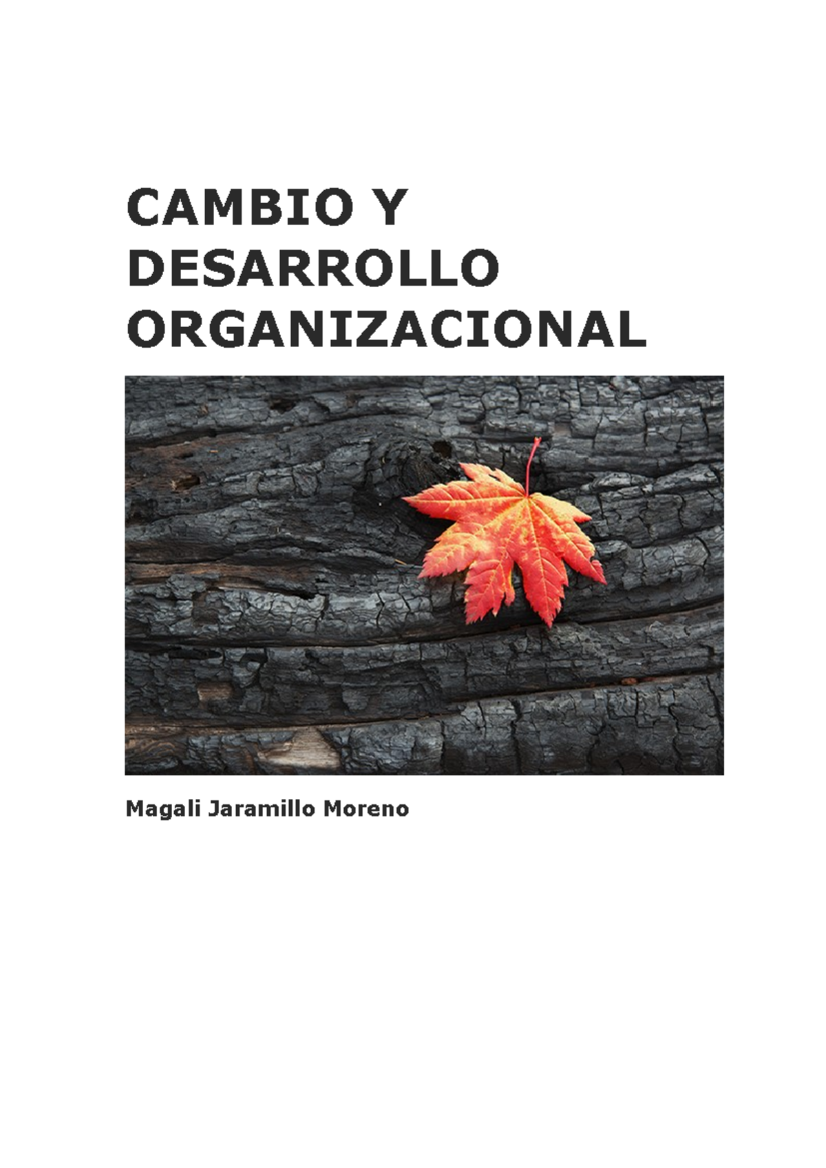 CAMBIO Y DESARROLLO ORGANIZACIONAL: Un Análisis del DO en CO S10 MAJM ...