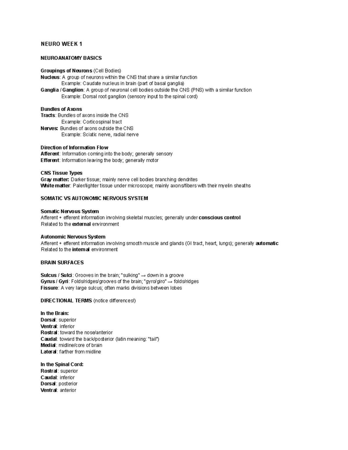 NEURO 101: Neuroanatomy Basics Lecture Notes - Studocu