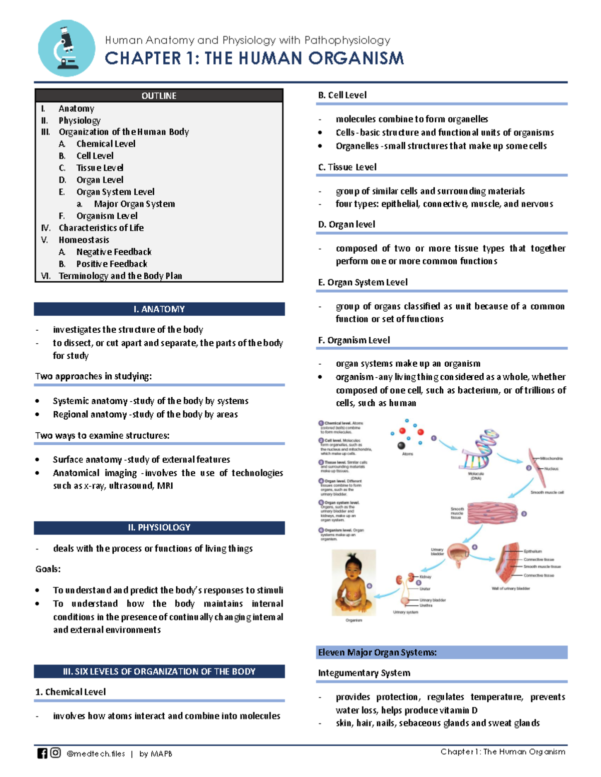 Anatomy and Physiology Overview - Chapter 1 (Course Code: 1-AP) - Studocu