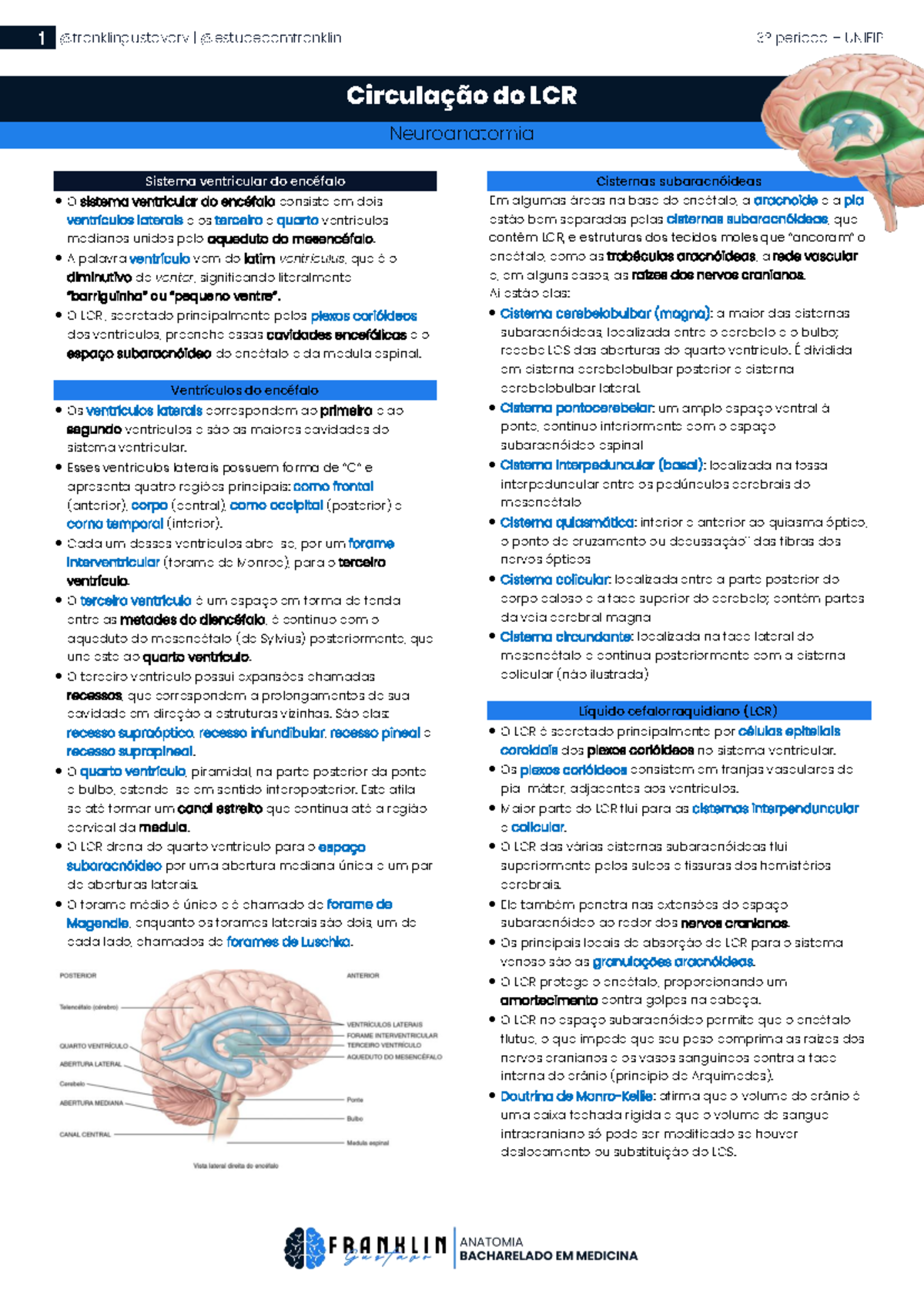 Circulação do LCR e Sistema Ventricular - Neuroanatomia 1º Período ...