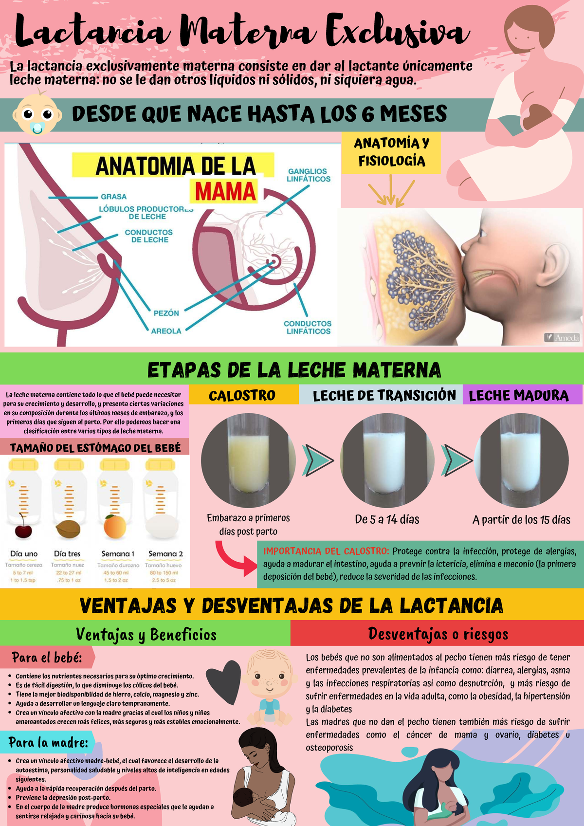 Lactancia Materna Exclusiva: Beneficios y Desventajas para Madre e Hijo - Document Preview