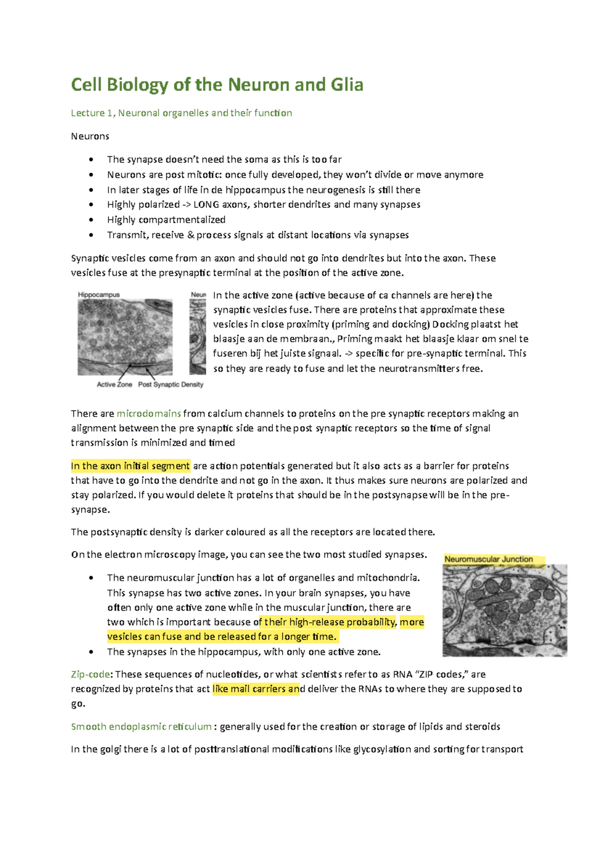 Cell Biology of Neurons and Glia (SM): Lecture Insights and Key ...