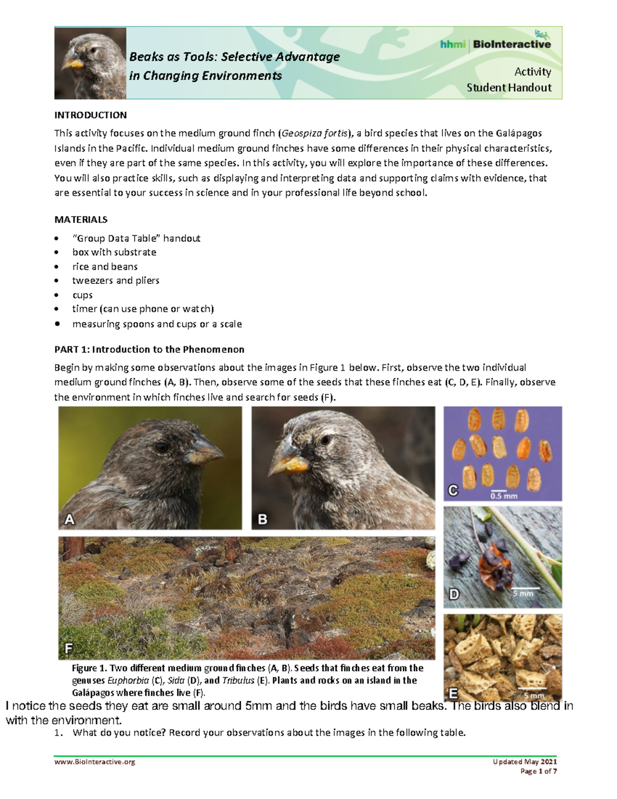Beaks as Tools: Selective Advantage Activity - BioInteractive Student ...