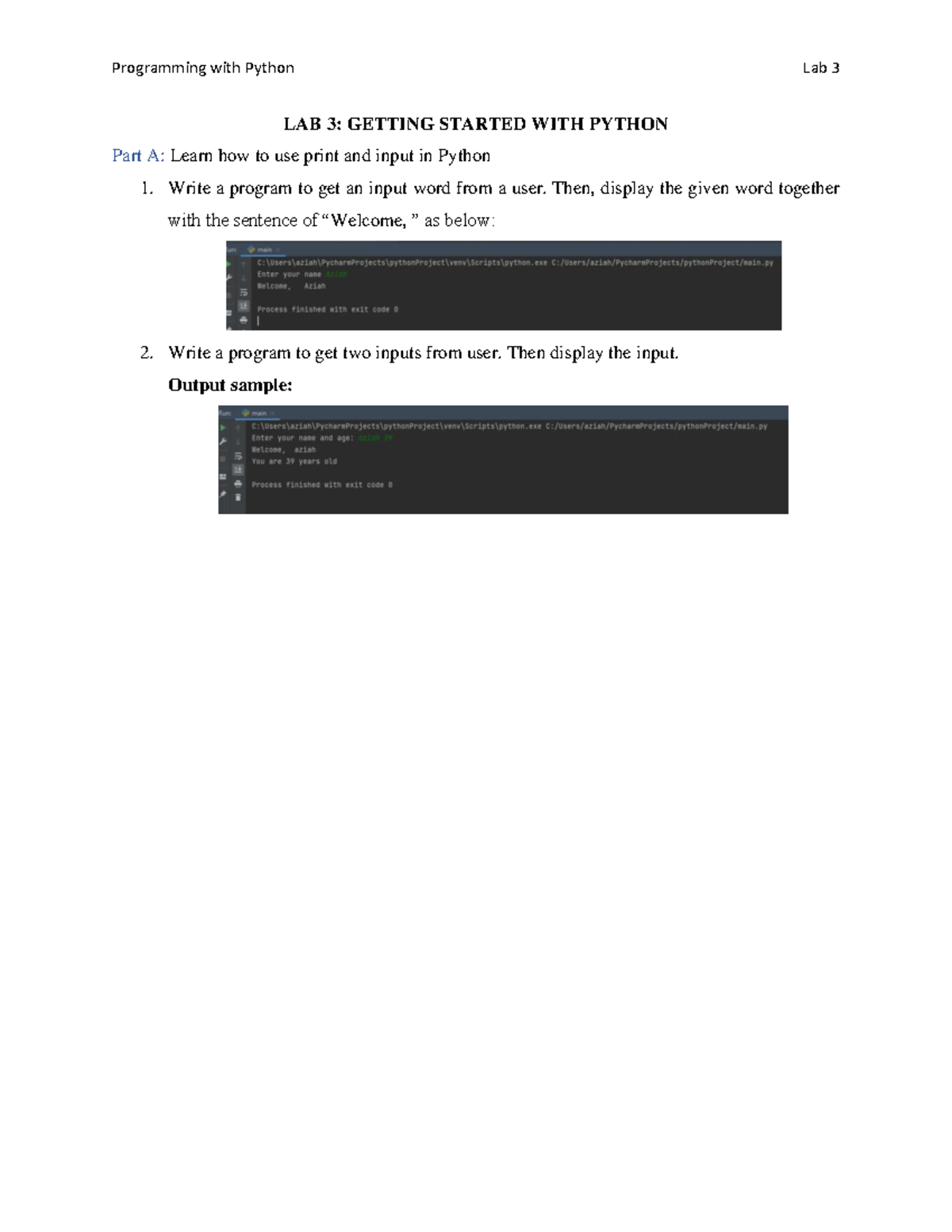 Programming with Python LAB 3: Introduction to Basic Coding Techniques ...