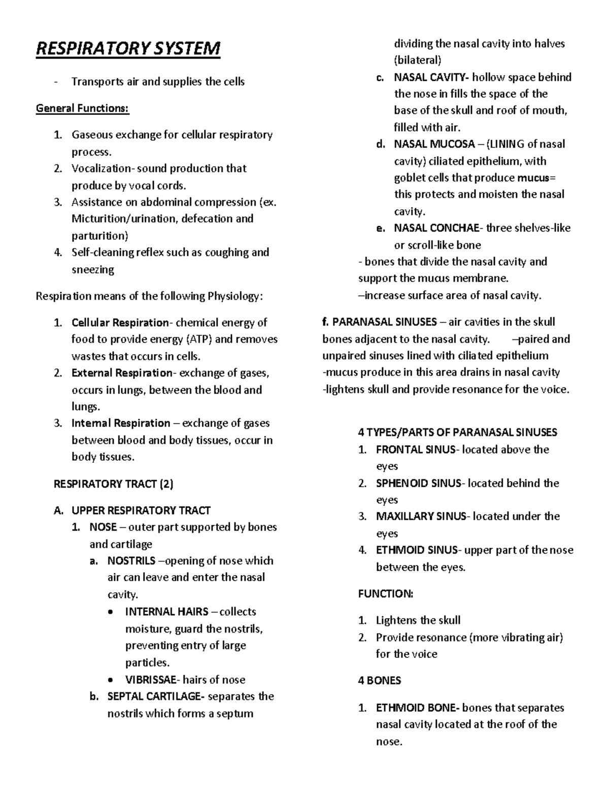 Anatomy and Physiology of the Respiratory System - A Comprehensive ...