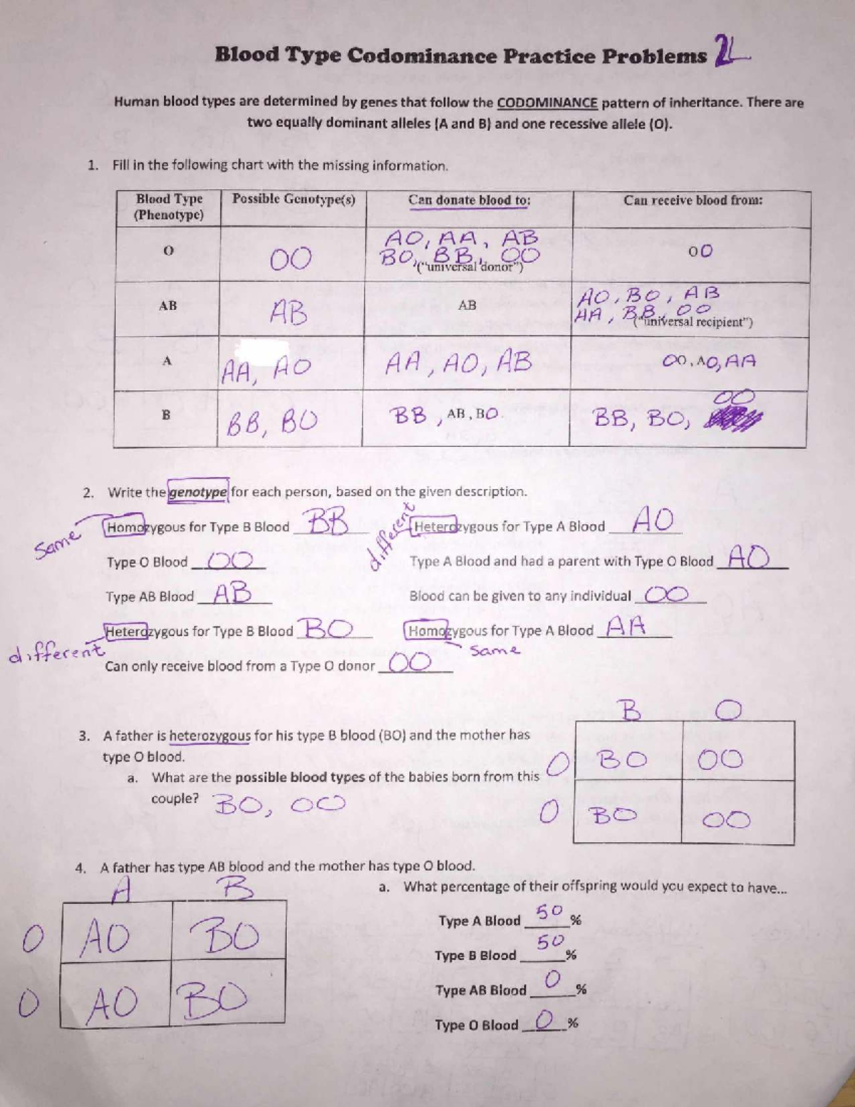 Blood Type Codominance Practice Problems 2L Answer Key - Studocu