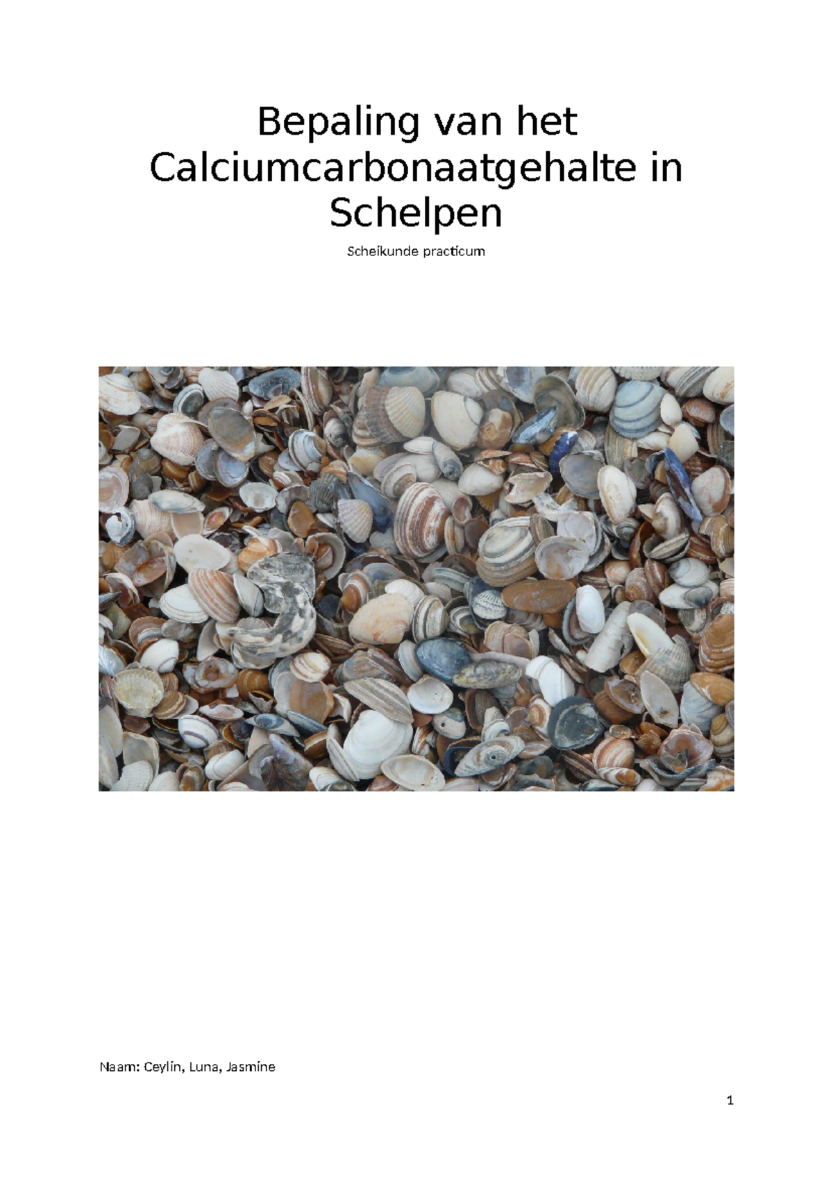 Stenen, cellenbeton, kalkzandsteen, lateien, lood