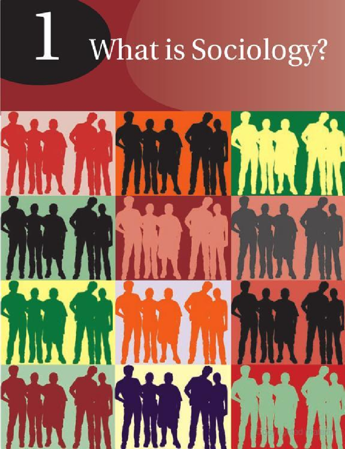 Sociology Overview: Key Concepts and Theories (SOC 101) - Studocu