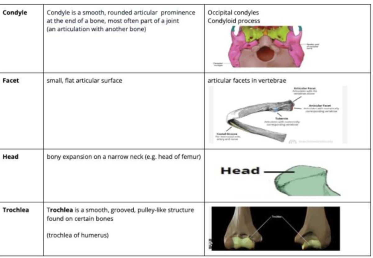 Final Exam Review - Course K - Studocu