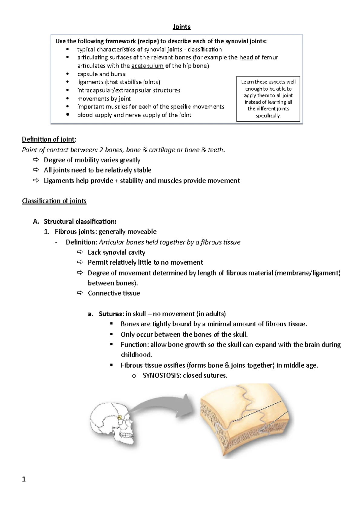 ANA122 Lower Limb and Foot Anatomy Worksheet - Studocu