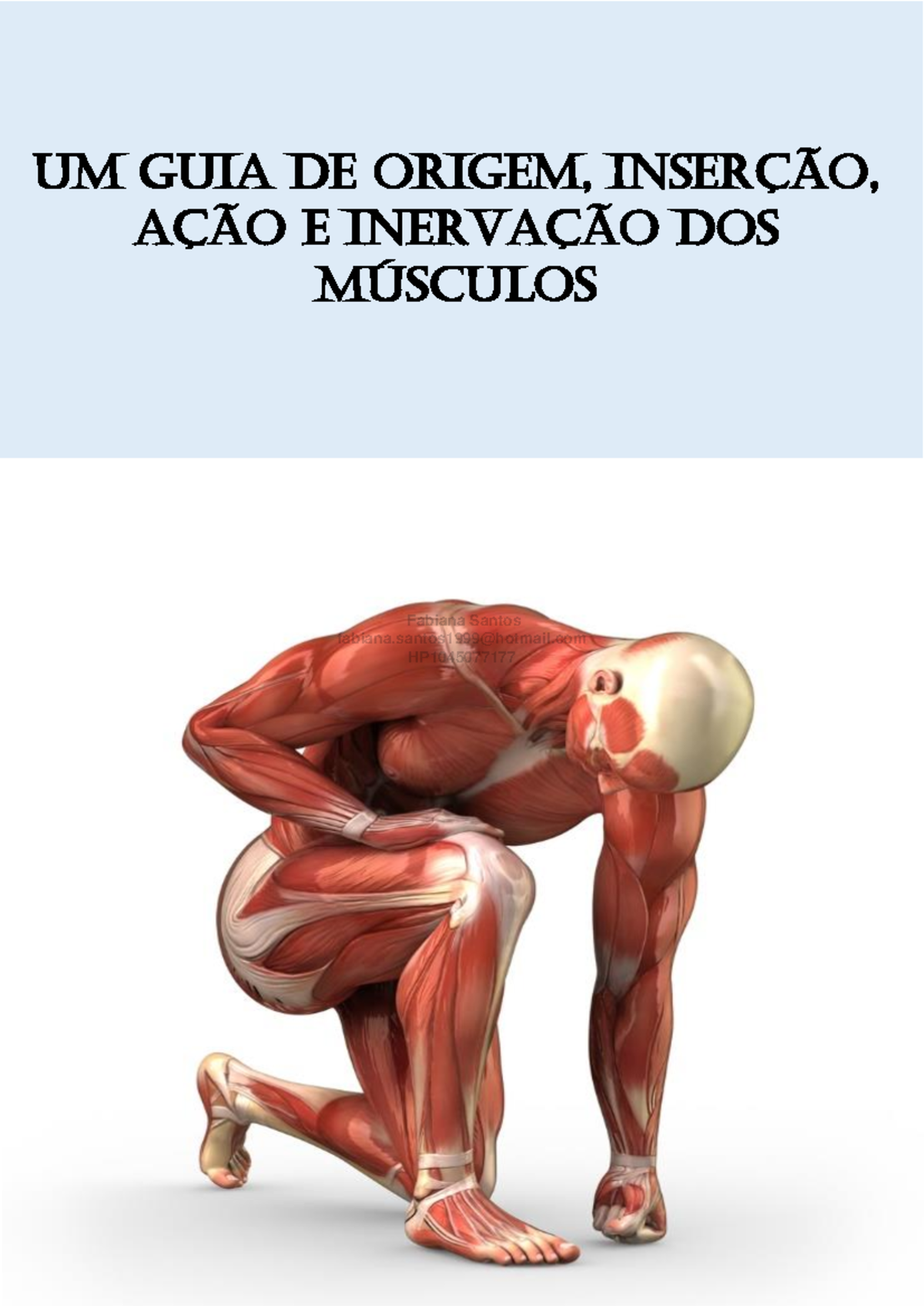 Origem+ Inser%C3%87%C3%83O+E+A%C3%87%C3%83O - u UM GUIA DE ORIGEM ...