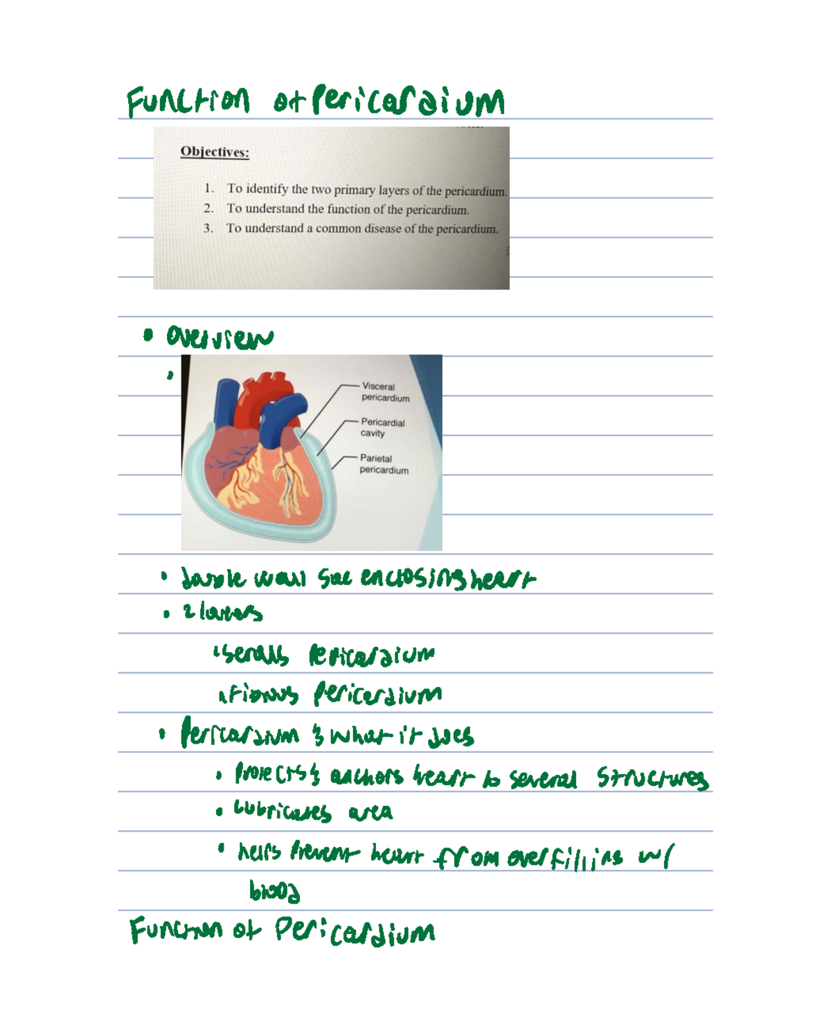 Pericardial Function and Disorders: Overview and Insights - Function or ...