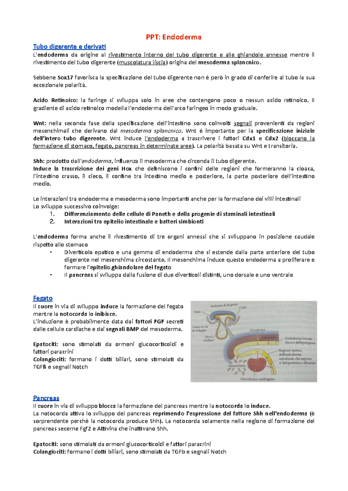 Riassunto Endoderma e Sviluppo del Tubo Digerente - Biologia 101 - Studocu