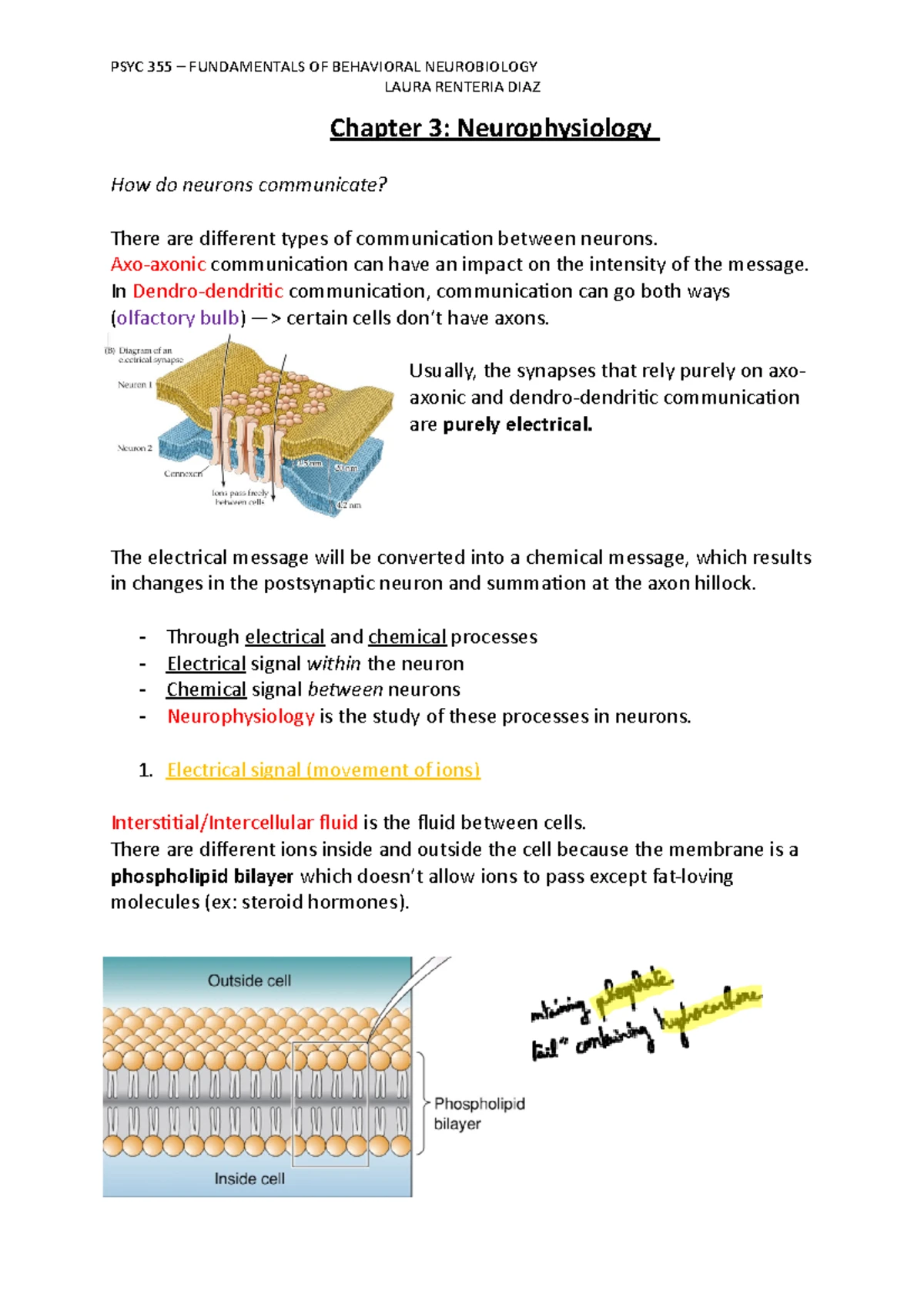 Chapter 26 - Biosynthesis of Membrane Lipids and Steroids: Key Pathways ...