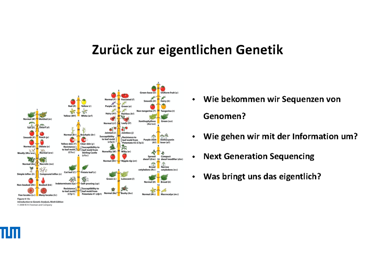 18. Genomes - Bio - Wie bekommen wir Sequenzen von Genomen? Wie gehen ...