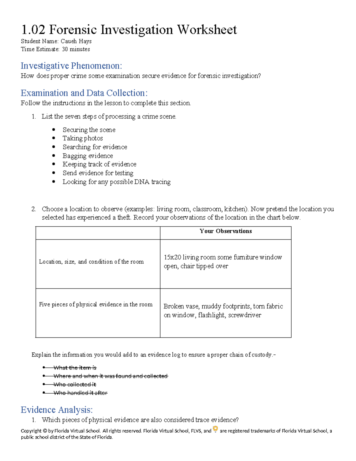 Forensic Investigation Worksheet: Securing Evidence in Crime Scenes ...
