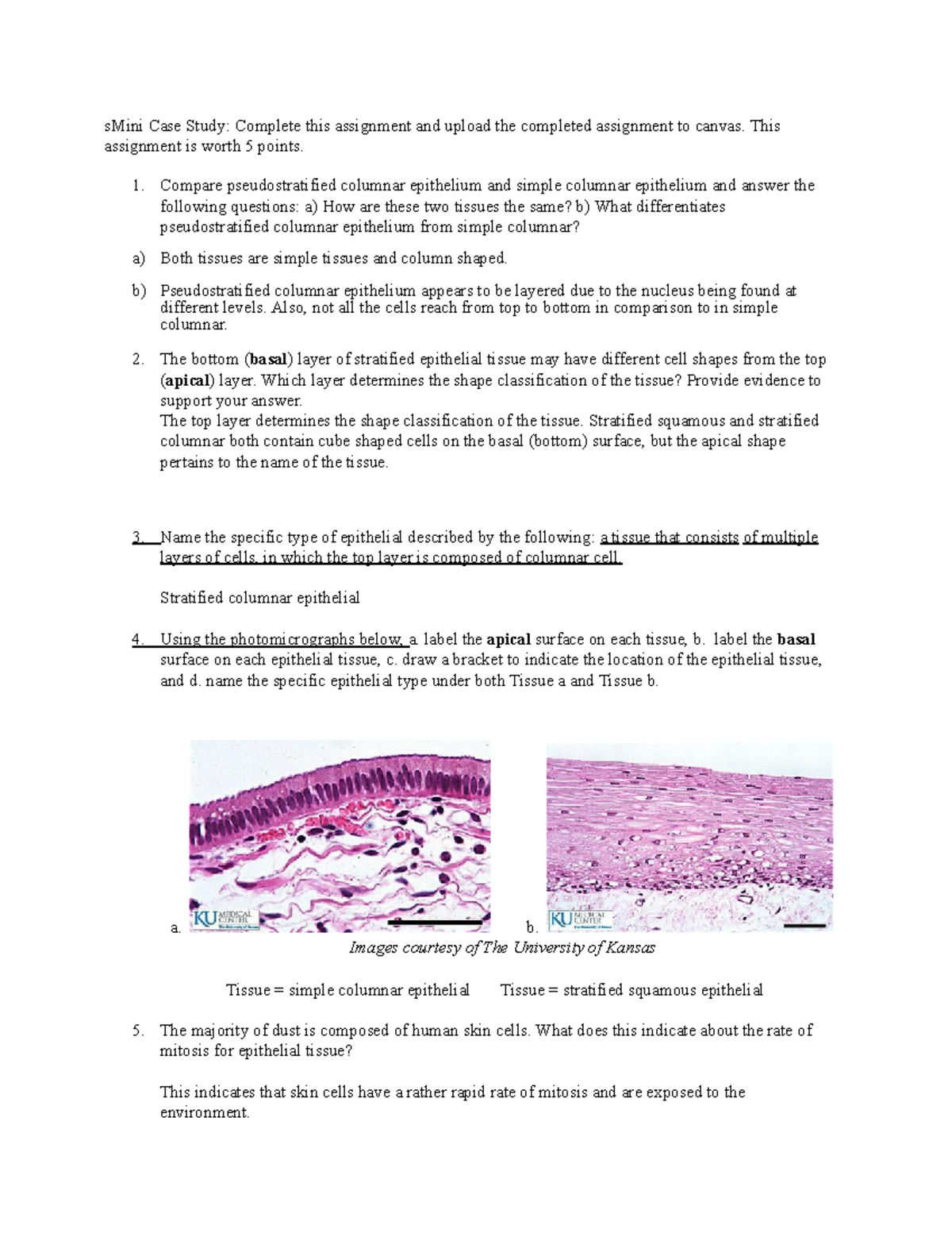 NRSG 201 Lab 2 Epithelial Tissue Case Study and Analysis - Studocu