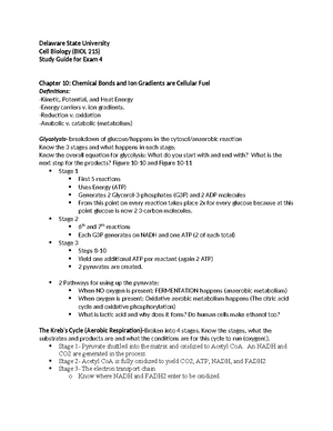 Answers for Compare and Contrast Cytoskeleton Worksheet - Properties ...