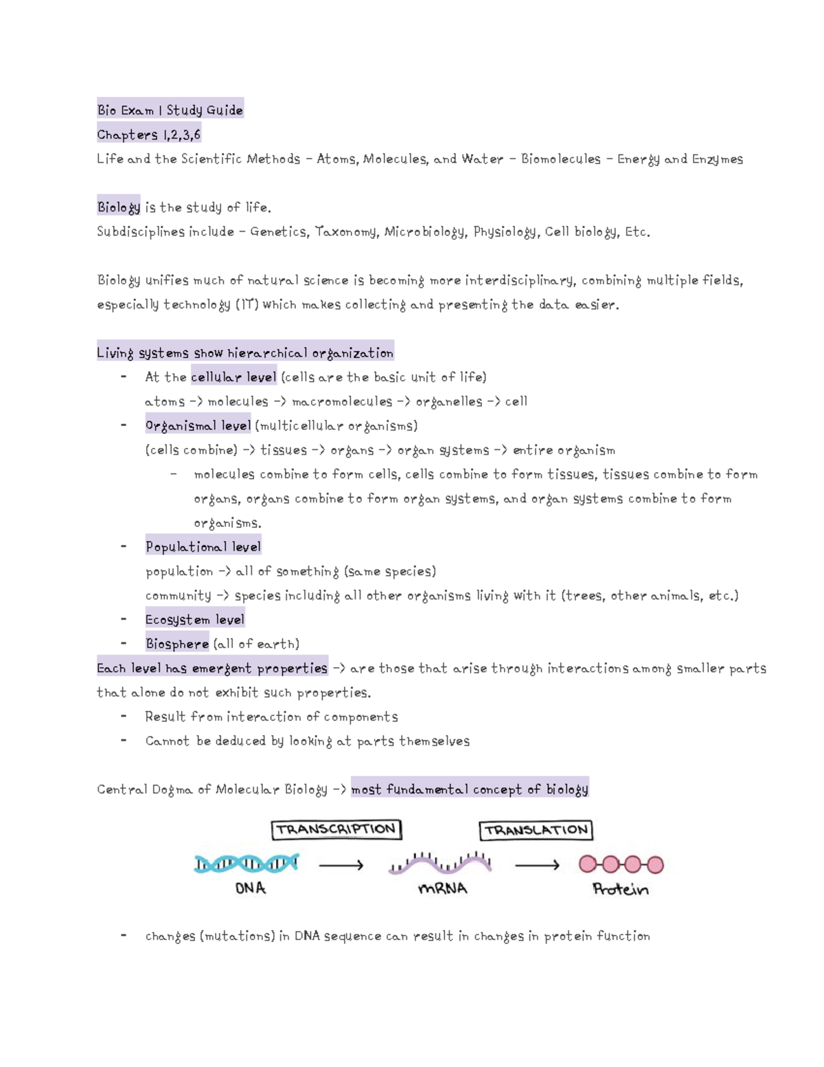 Bio Exam 1 Study Guide - Dr. Joseph Deak - Bio Exam 1 Study Guide ...