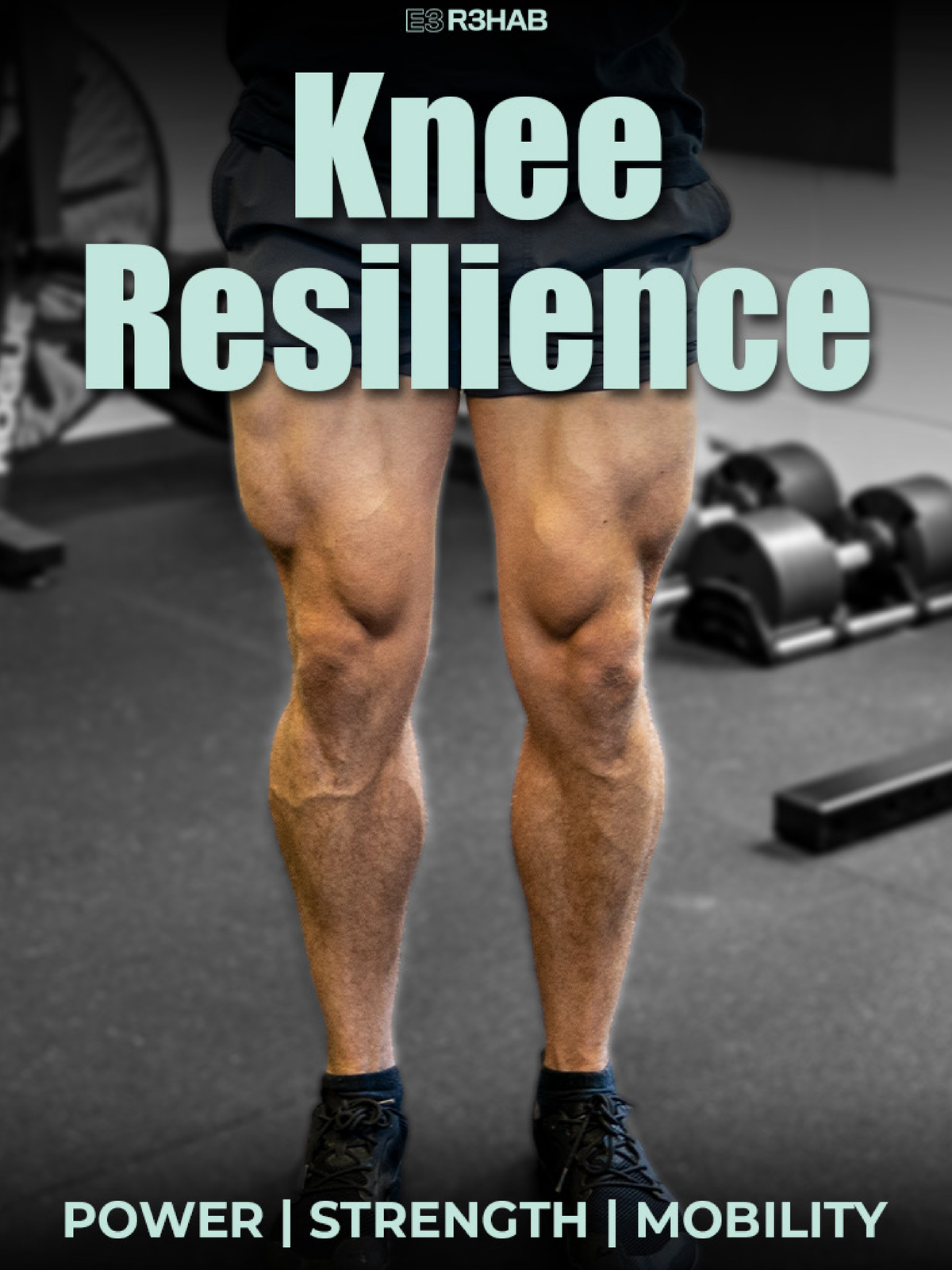 KNEE RESILIENCE PROGRAM: A Guide to Rehab & Performance Strategies - Document Preview
