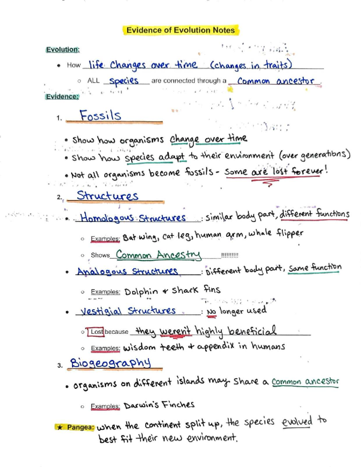 Evidence of Evolution Study Notes - Key Concepts and Insights - Studocu