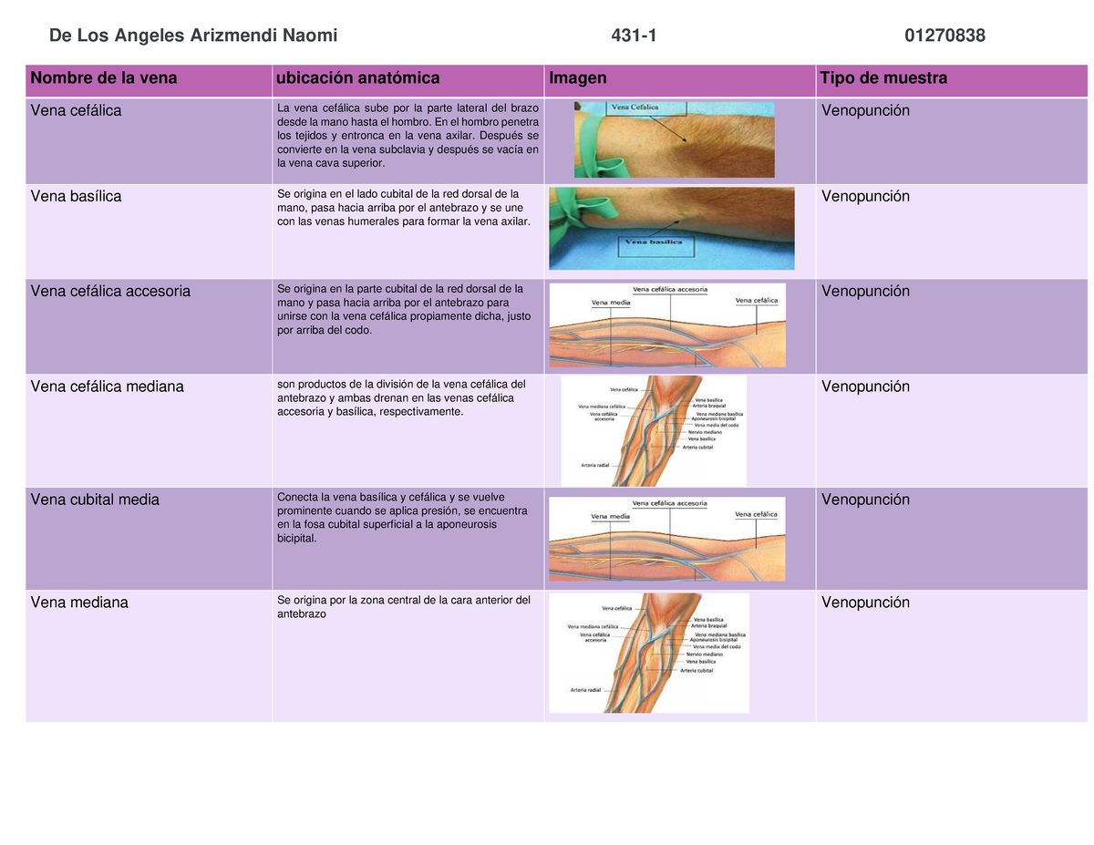tabla de los sitios de venopunción en anatomía - Bioquímica - Studocu