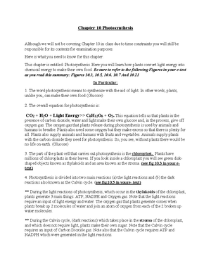 Final+Exam+ + Study+ Guide+%28+Ch+1-+10%29 - Study Guide: Chapter 1 ...