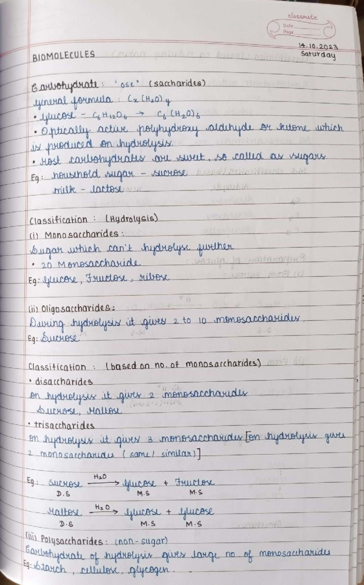 BIOMOLECULES Notes: Carbohydrates Proteins and Nucleic Acids Studocu