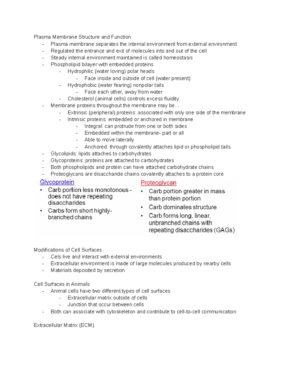 Lec. 8 Cell Membranes exam 2 notes - Deprecated API usage: The SVG back ...