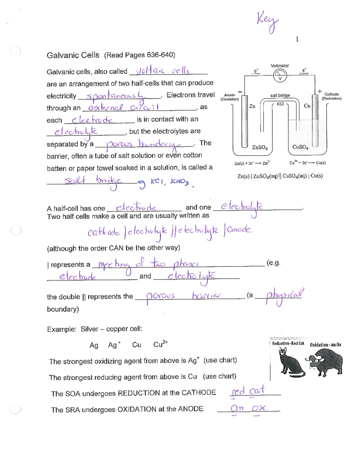 4. Galvanic Cells Note - KEY - Key 1 Galvanic Cells (Read Pages ...