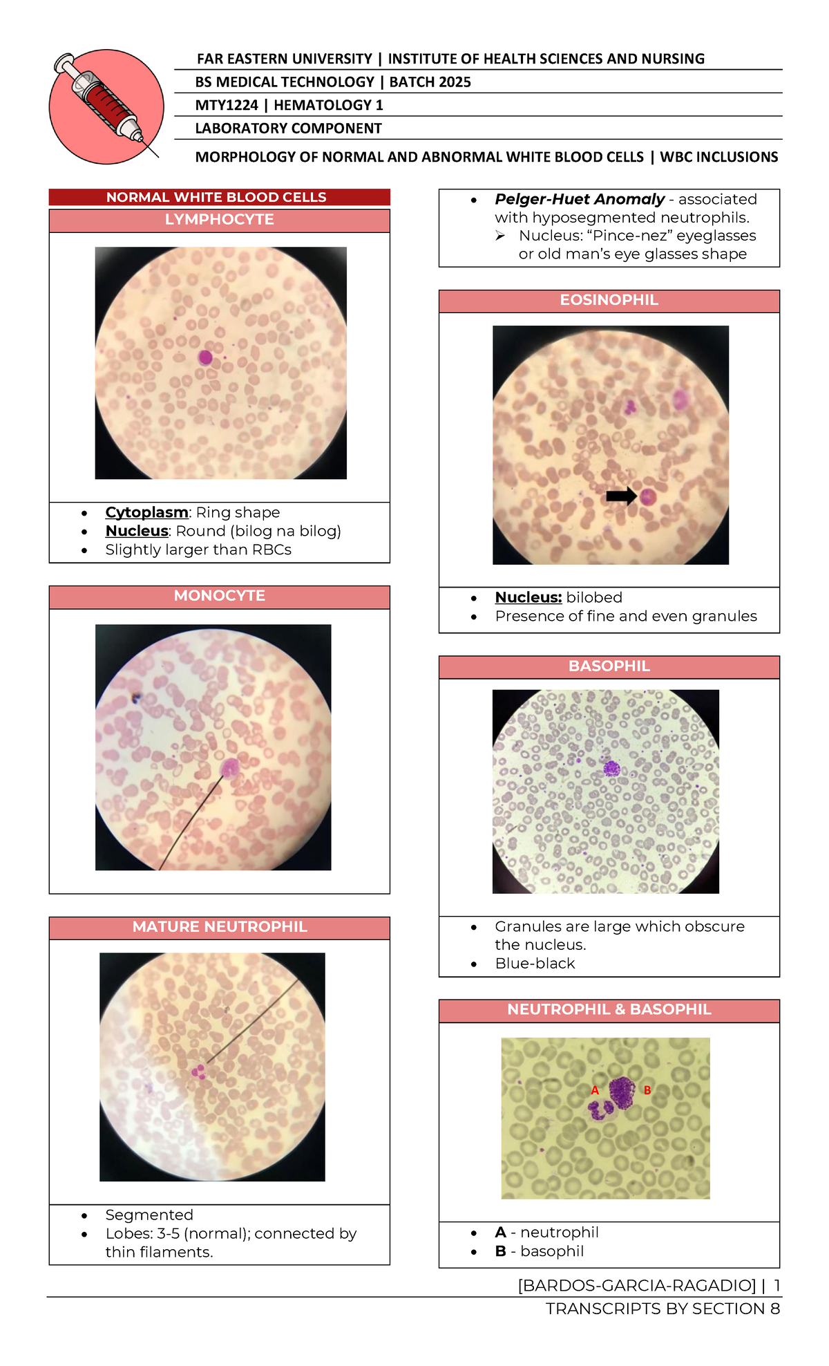 MTY1224 | Morphology of WBCs: Normal, Abnormal & Inclusions - Studocu