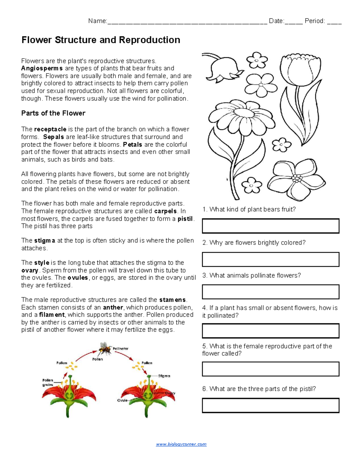 Flower Structure and Reproduction: A Study Guide (BIO 101) - Studocu